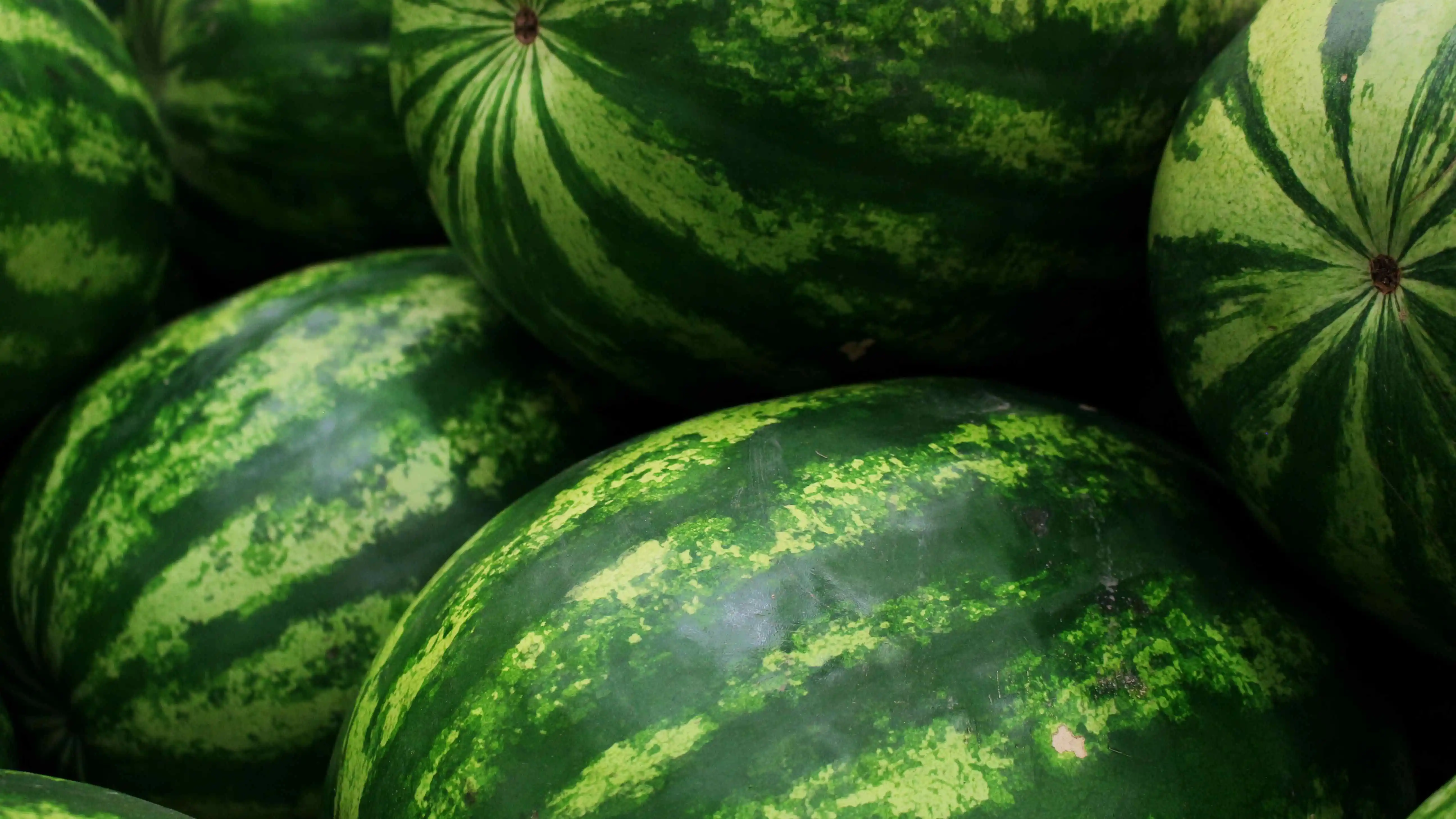 ilustrasi cara memilih semangka manis
