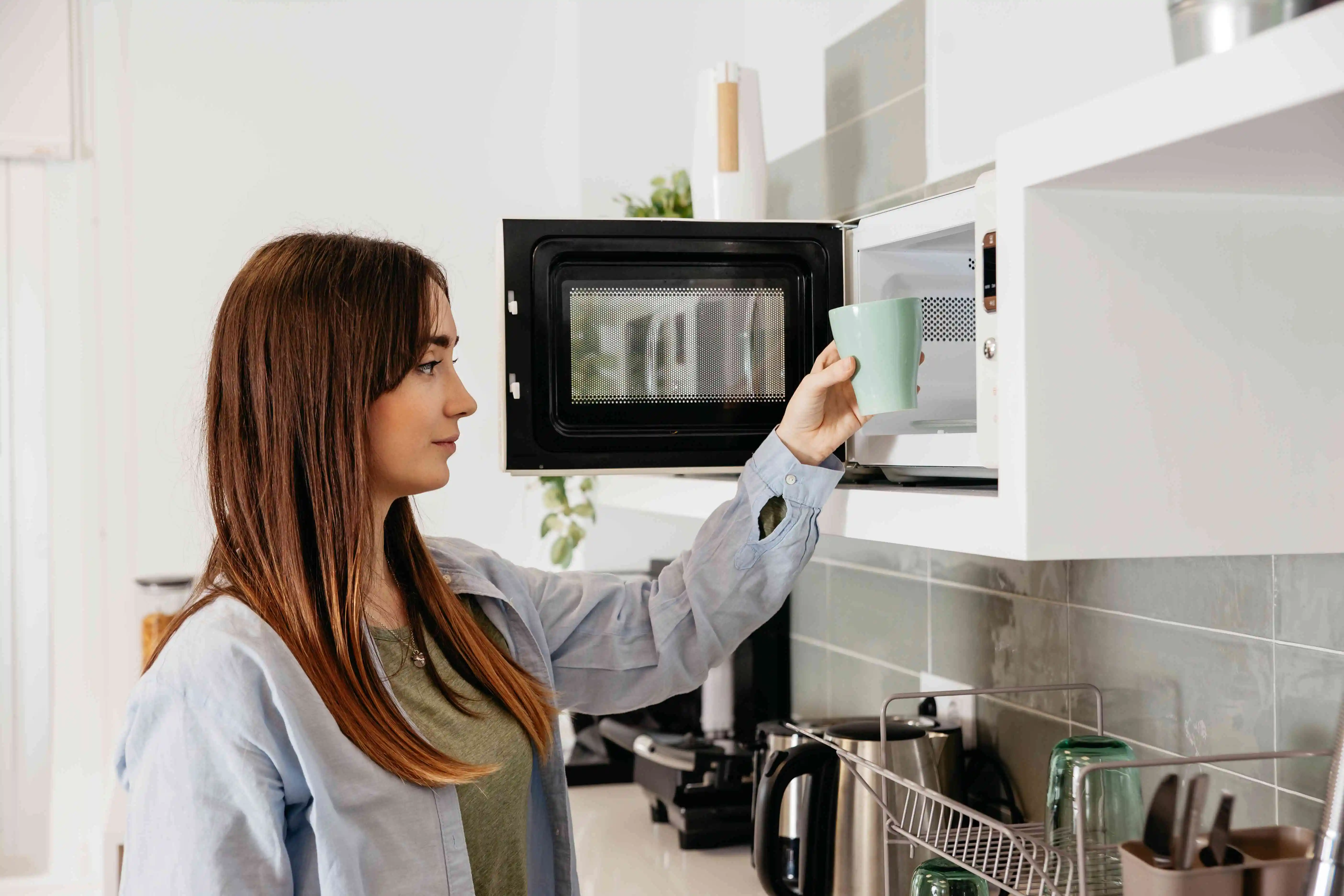 Perbedaan oven dan microwave