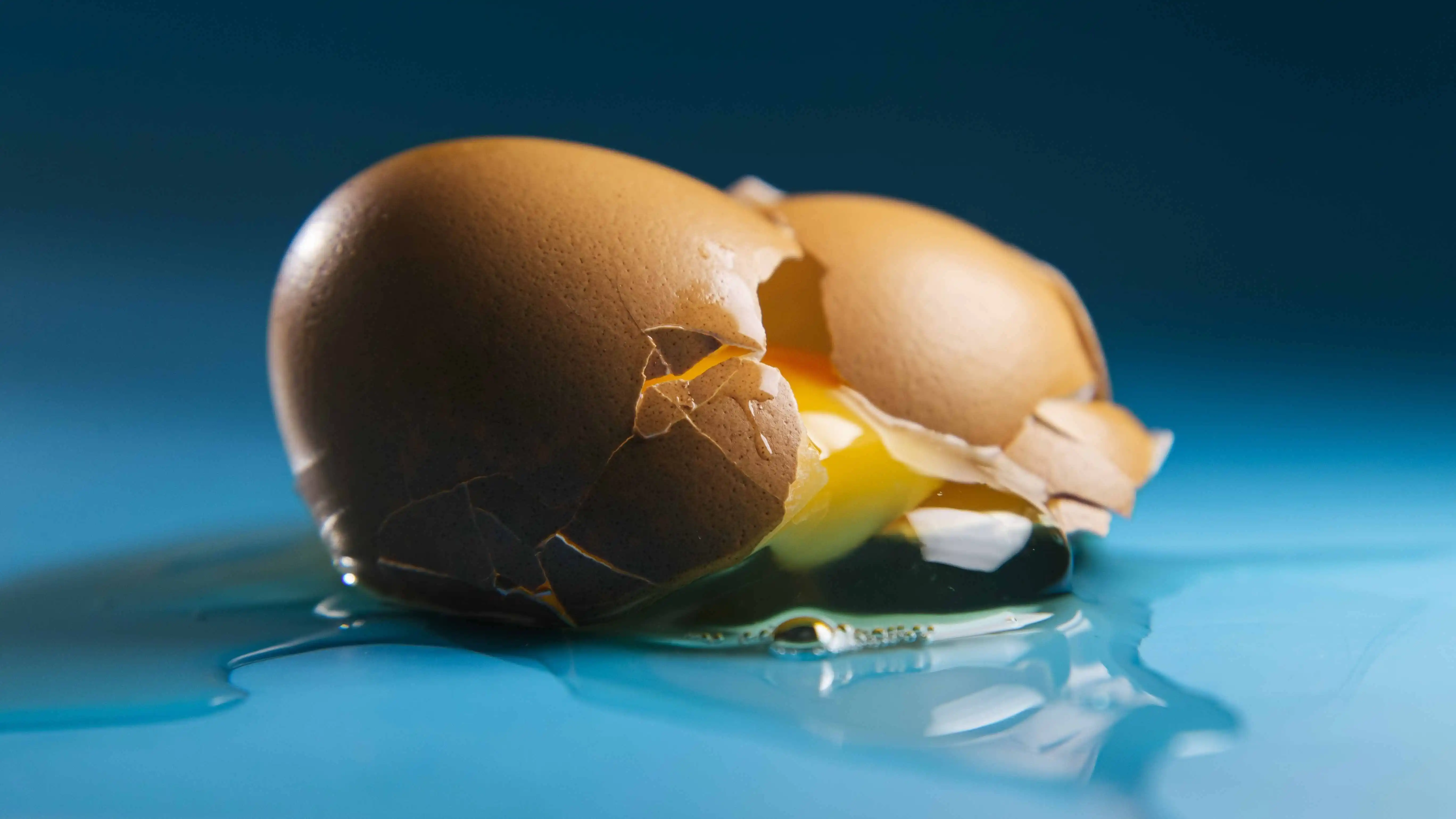 Ciri-ciri Telur Busuk yang Harus Diperhatikan dengan Jeli