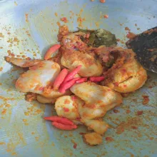 Setelah bumbu matang, masukkan ayam yang telah dicuci bersih lalu masukkan cabe rawit.