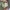 Cek kalis elastis dengan windowpane test seperti gambar.