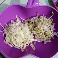 Rebus tauge sebentar saja. Iris halus kubis.