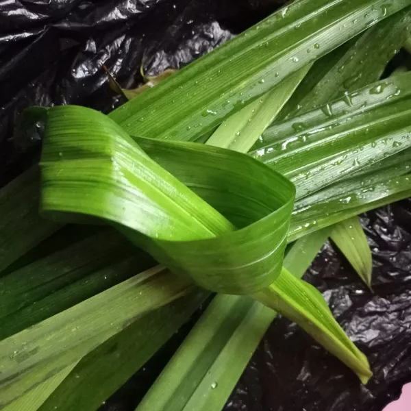 Siapkan daun pandan berukuran besar, cuci bersih.