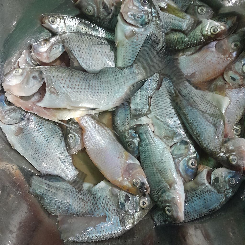 Langkah 1