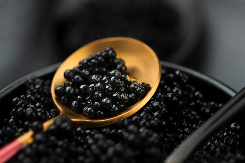 macam-macam caviar dan resep olahannya