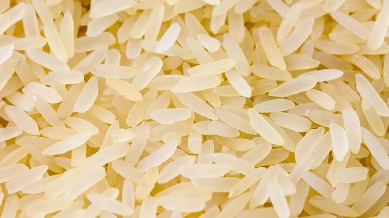 ilustrasi beras berkualitas
