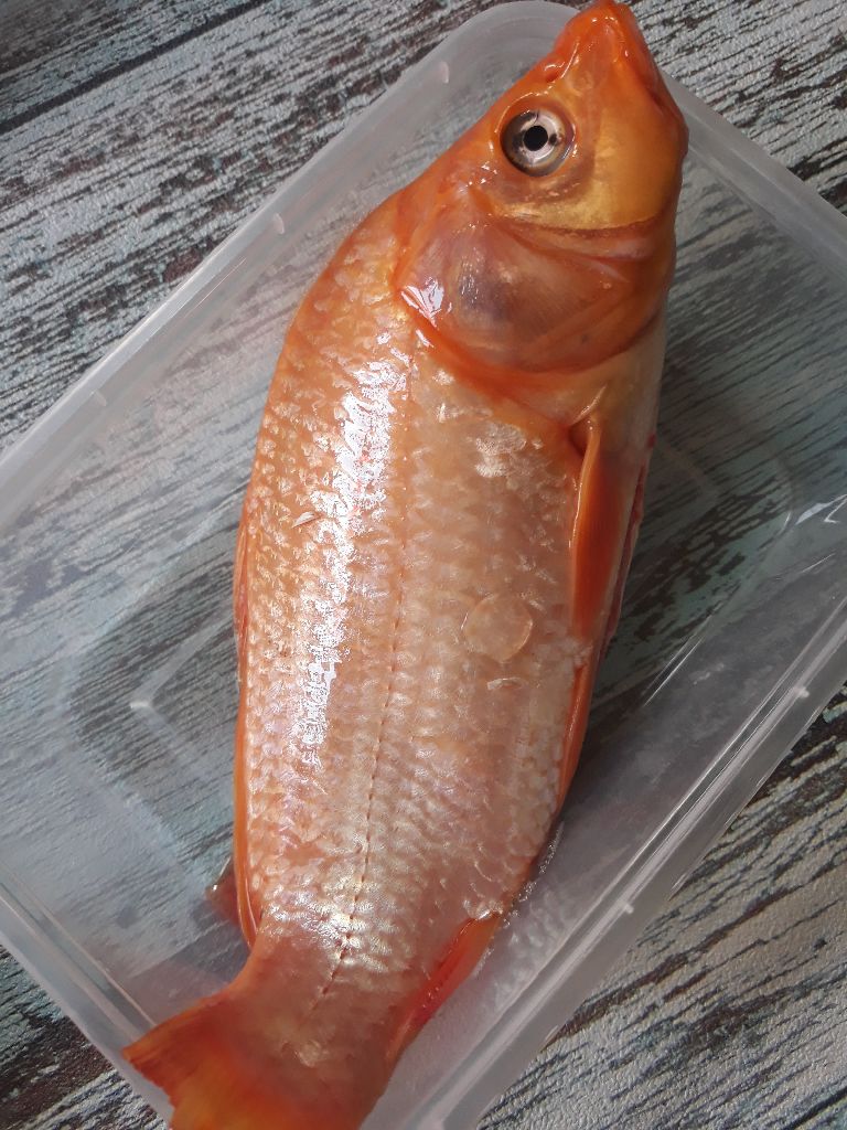 Langkah 1