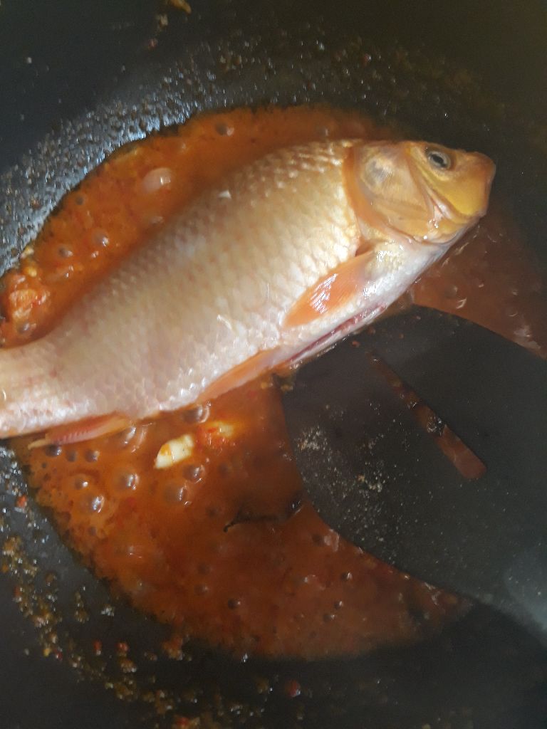 Langkah 7