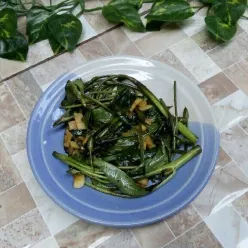 Cah Kangkung