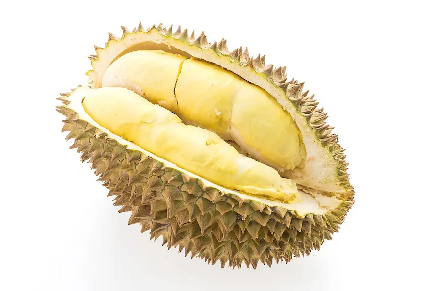 Jenis durian terenak dan terpopuler