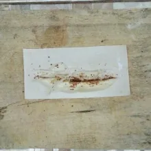 Bentangkan kulit pangsit. Beri pisang, keju dan gula palem.