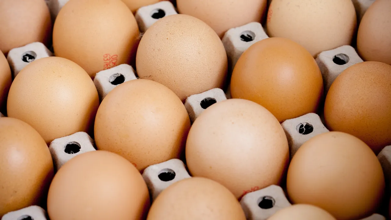 cara memilih telur yang baik