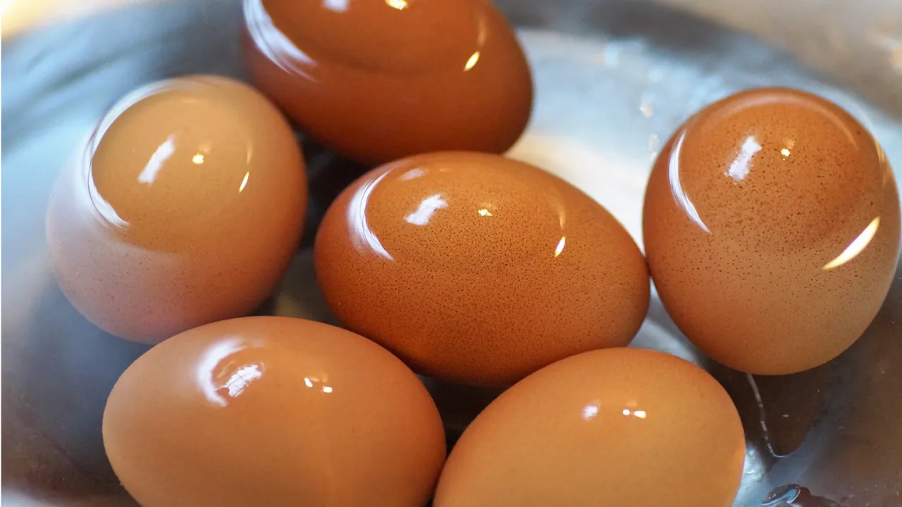 merendam telur