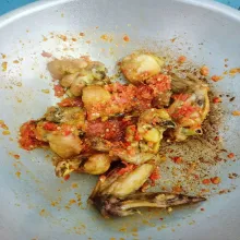 Masukan ayam yang telah digoreng