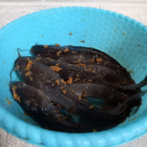 Marinasi ikan lele dengan bumbu halus sampai bumbu meresap.