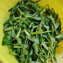 Siangi kangkung, cuci bersih, tiriskan.