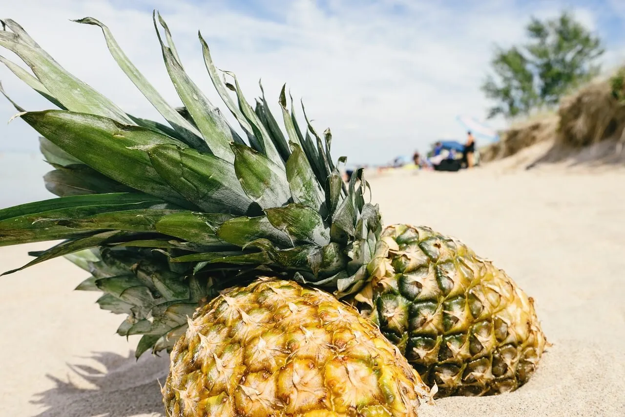 Ini Manfaat Buah Nanas untuk Wanita, Bisa Cegah Kanker Payudara?