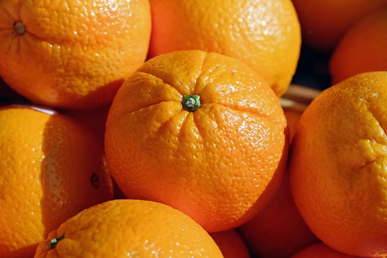 buah jeruk berserat tinggi