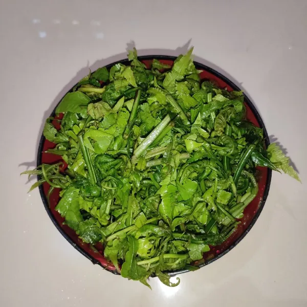 Potong Pakis kira-kira seukuran batang korek api.