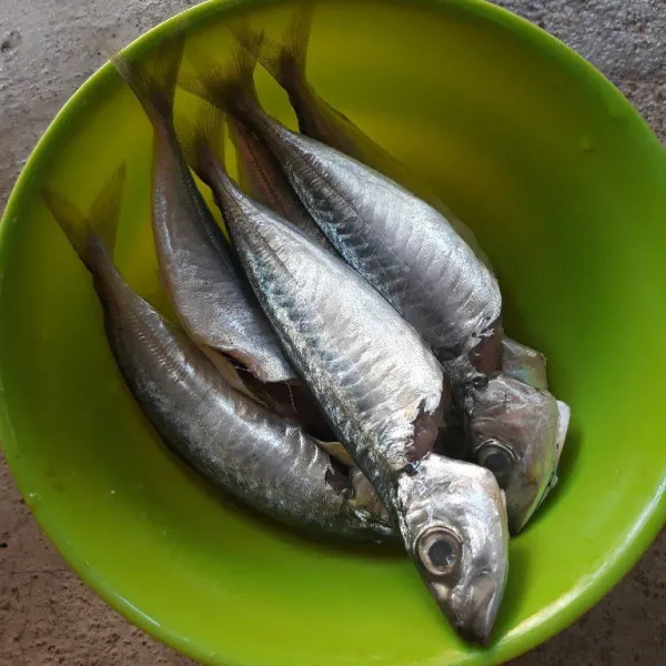 Cuci dan bersihkan ikan dencis. Beri perasan jeruk nipis dan garam.