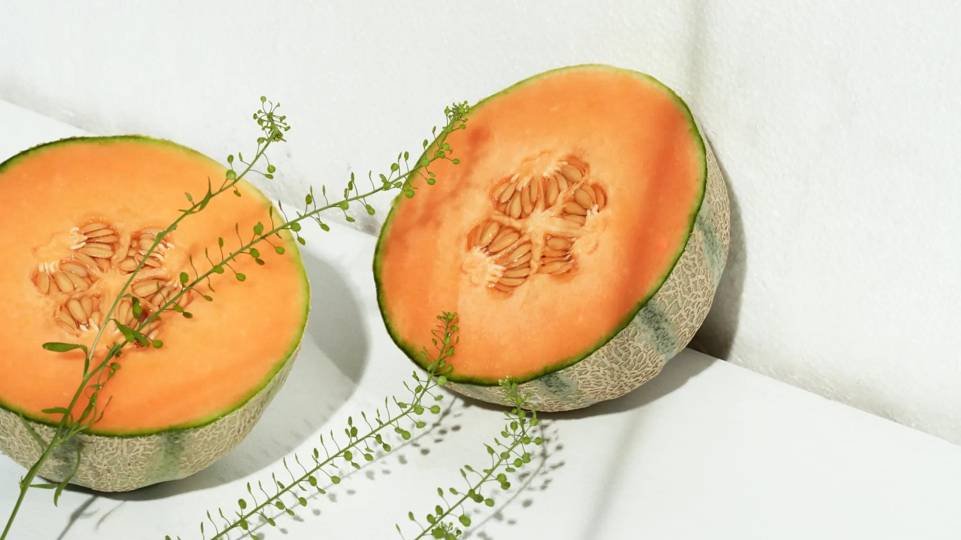 Bingung Pilih Melon? Yuk, Ikuti 7 Tips Cara Memilih Melon yang Manis!