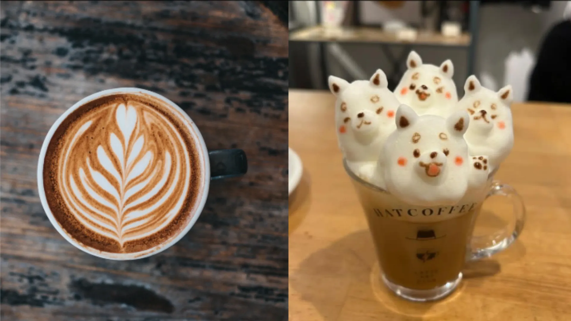 perbedaan latte dan cappucino