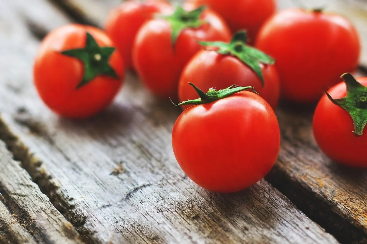 Tomat, salah satu jenis sayur yang tidak bisa masuk kulkas