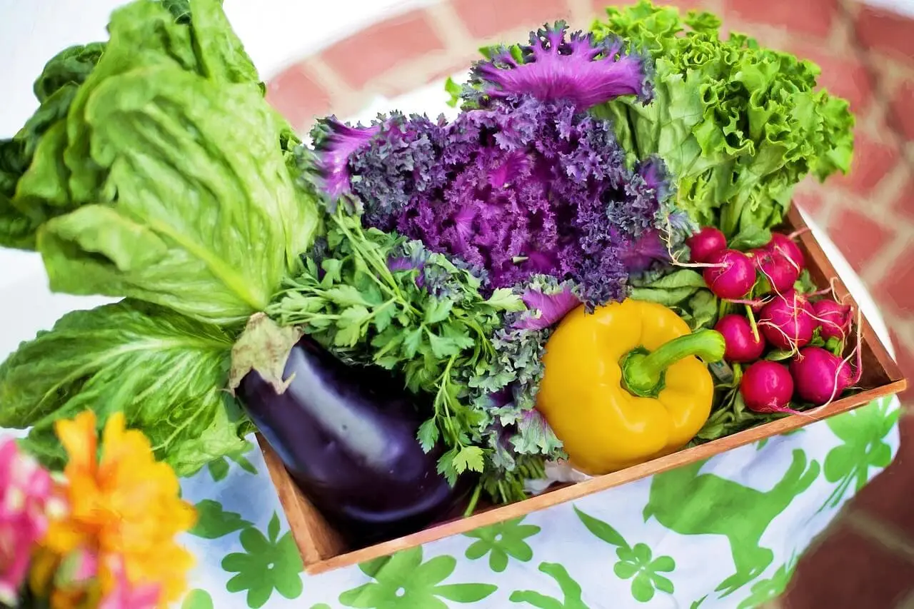 10 Jenis Sayuran yang Tidak Boleh Masuk Kulkas, Perhatikan Caranya!