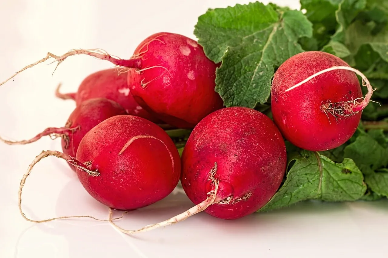 lobak merah, salah satu contoh sayuran yang tidak bisa masuk kulkas