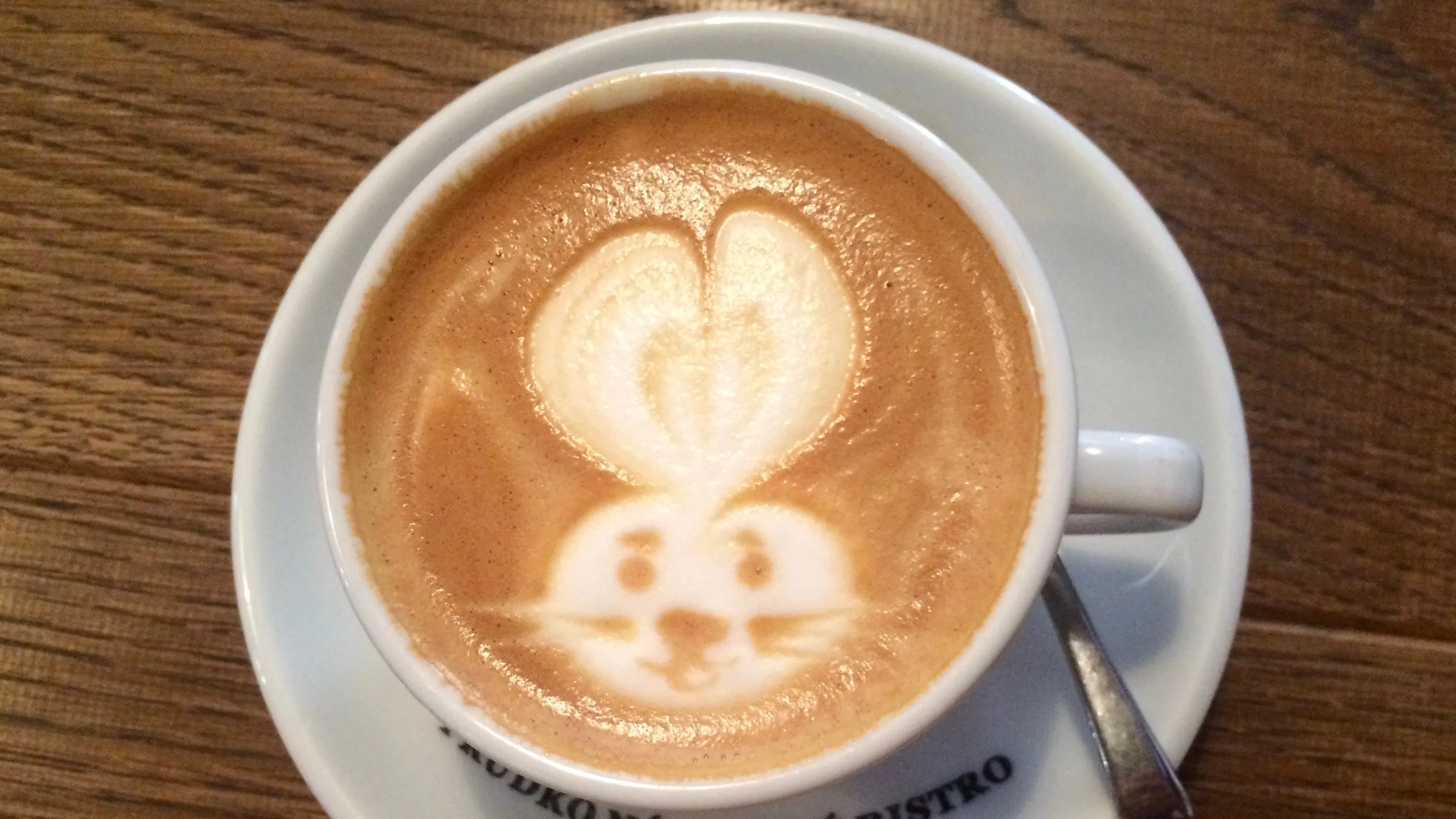 rabbit latte art