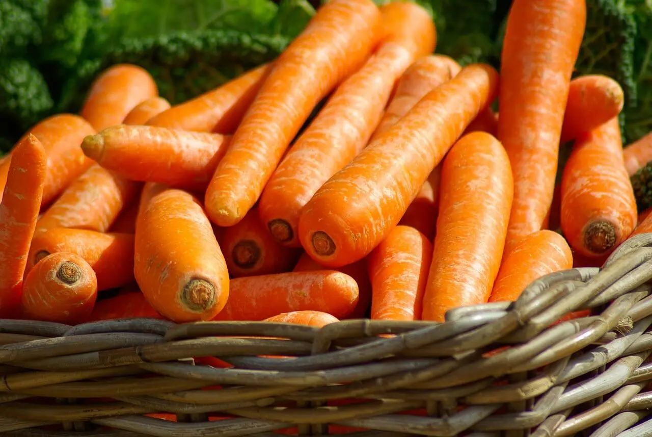 Wortel oranye dan jenis sayuran yang tidak bisa masuk kulkas