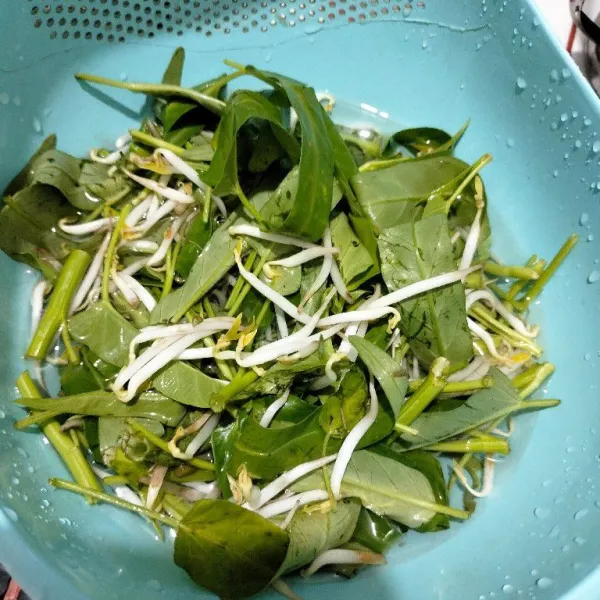Cuci bersih kangkung dan toge.