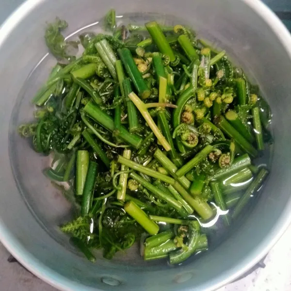 Rebus air hingga mendidih kemudian masukkan sayur pakis -/+ 5-10 menit lalu tiriskan.