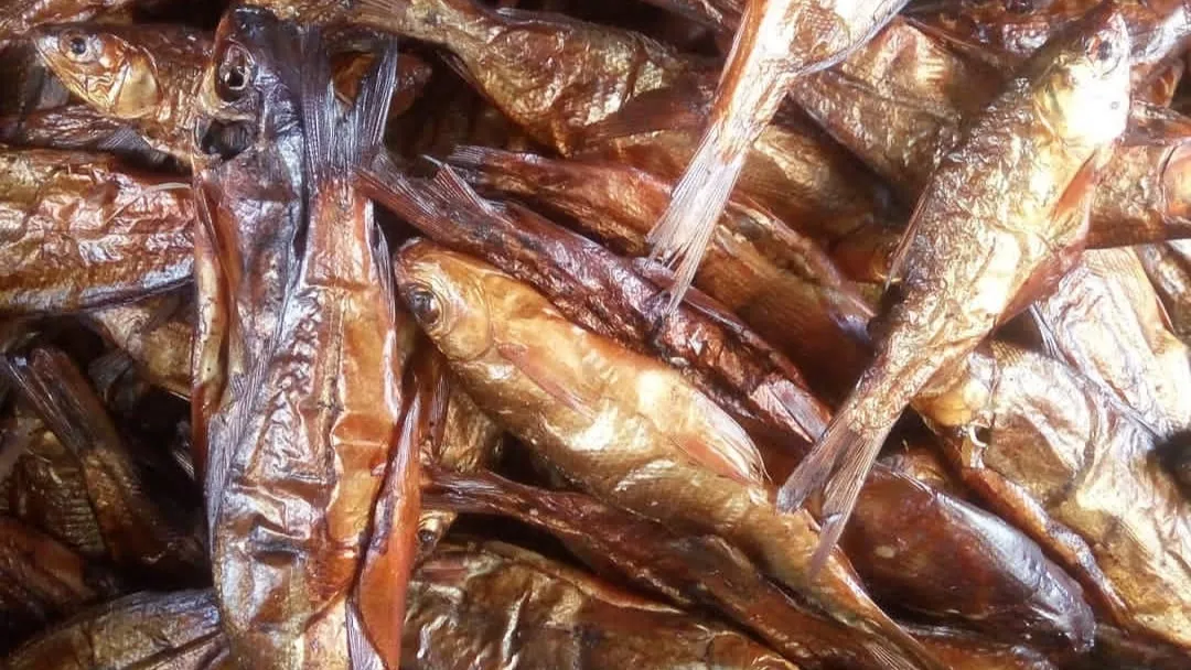 ikan salai oleh-oleh khas palembang