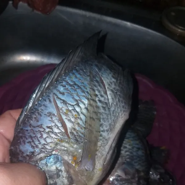 Kerat kerat ikan