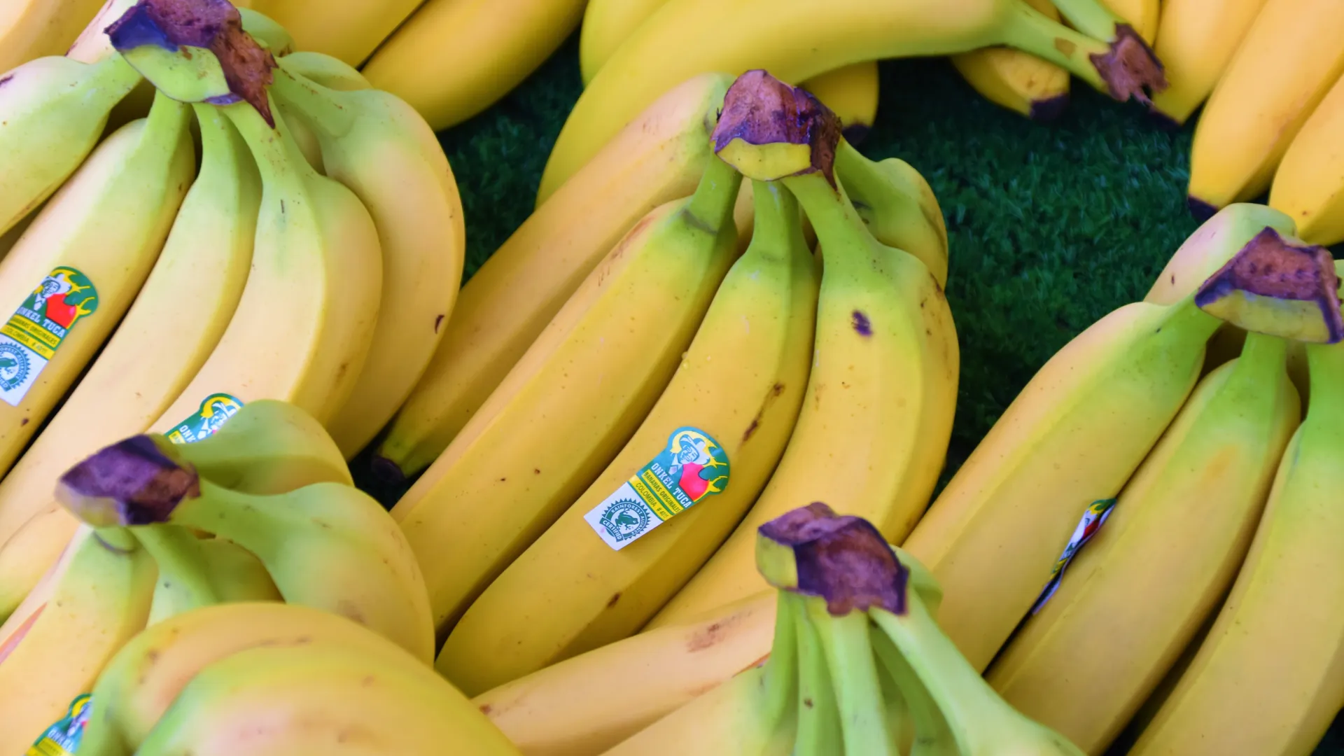 pisang mengandung asam folat