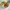 Rice Bowl Orak-Arik Telur Bakso