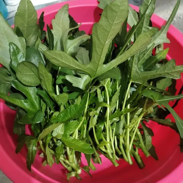 Cuci sayur gedi dengan tangkainya, agar tak terlalu berlendir. Kemudian petik.