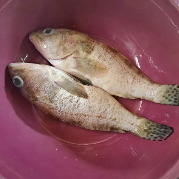 Bersihkan sisik ikan dan kotoran perut ikan. Sisihkan.