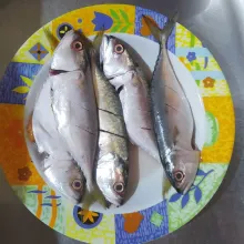 Buang isi parut ikan kembung, cuci bersih.