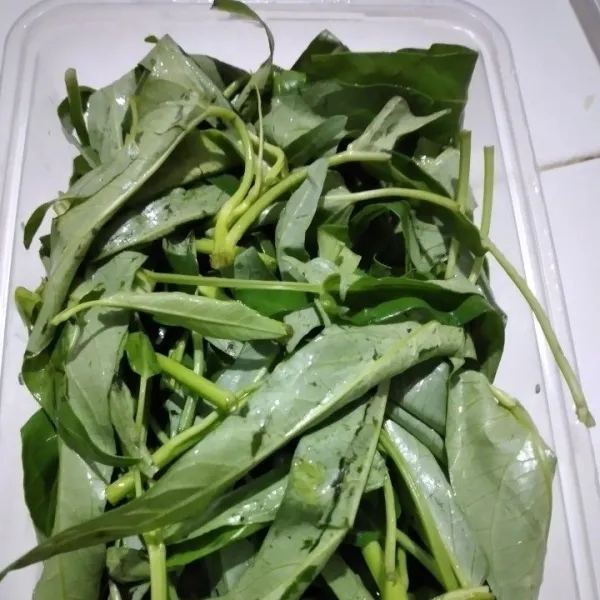 Petik kangkung dan cuci di bawah air mengalir, rendam kangkung dalam air garam diamkan 30 menit lalu bilas dan tiriskan.