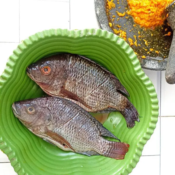 Siapkan ikan Mujair segar. Jika ikan dalam keadaan beku defrost dahulu sebelum dimasak.