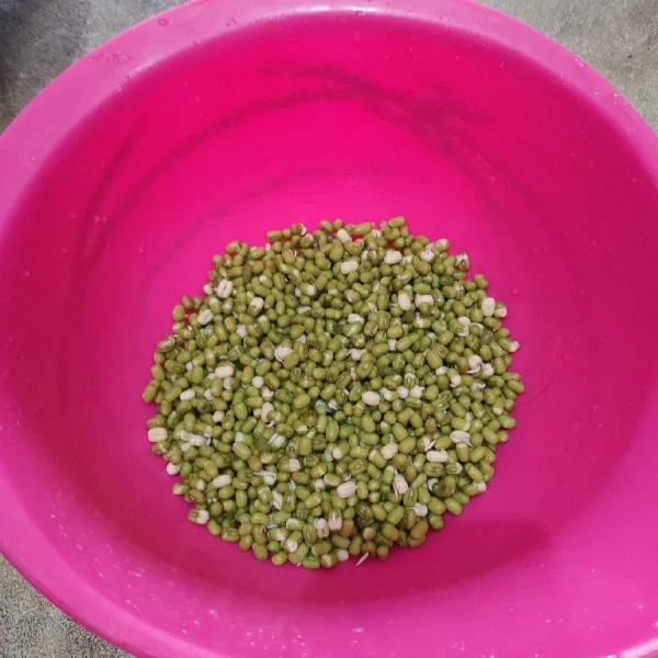 Rendam kacang hijau semalaman. Kemudian cuci hingga bersih dan tiriskan.
