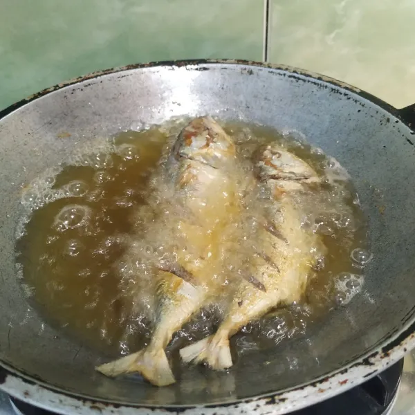 Bersihkan ikan kembung lalu lumuri garam dan diamkan selama 15 menit. Panaskan minyak goreng lalu goreng ikan kembung hingga matang.