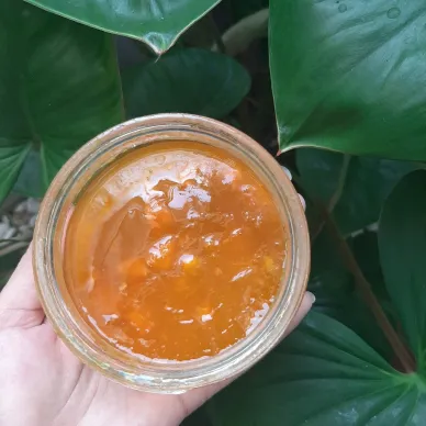 Mango Jam (Selai Mangga)