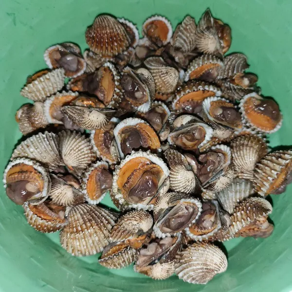 Rebus kerang dara sampai matang,lalu buang sebelah cangkangnya.