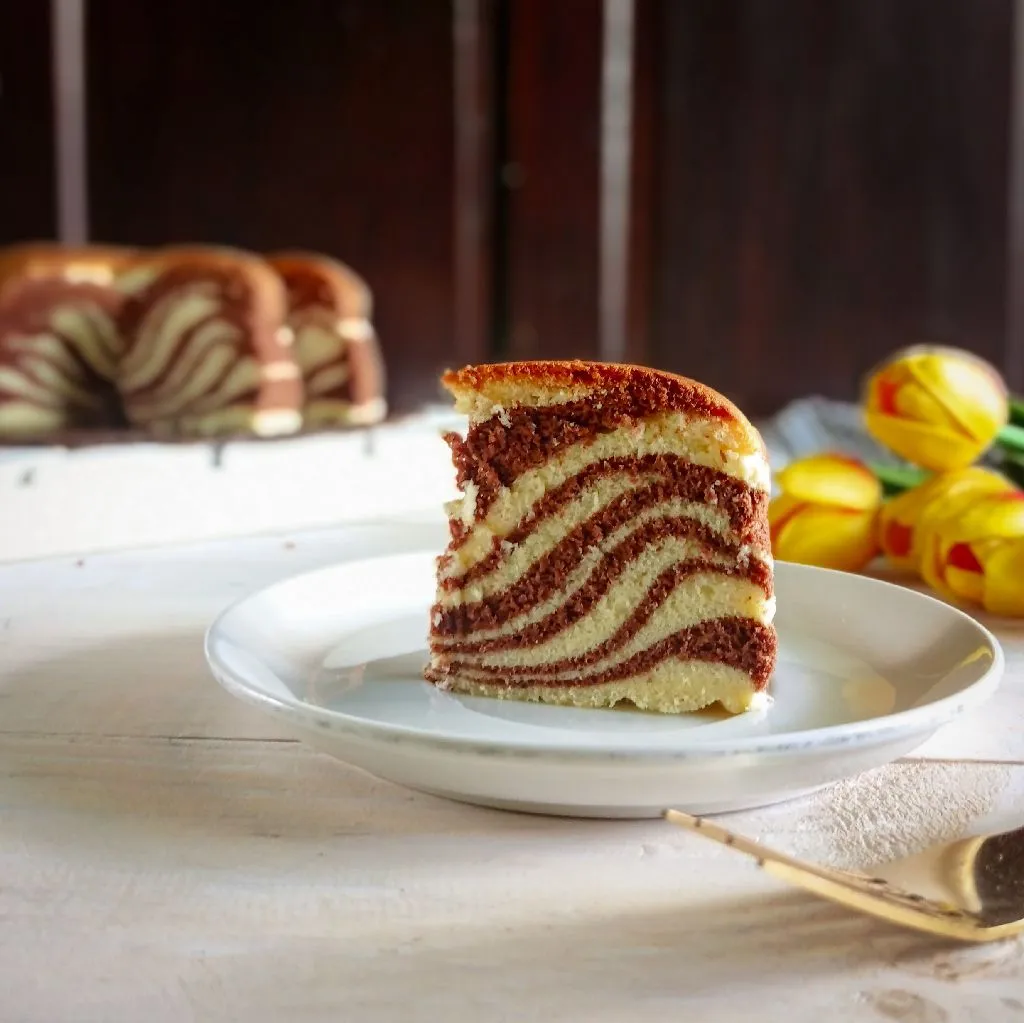 Zebra Castella Cake