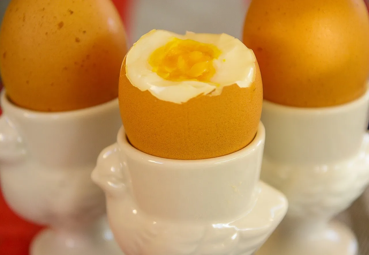 Kandungan Gizi Telur dan Manfaatnya beserta Resep Olahannya