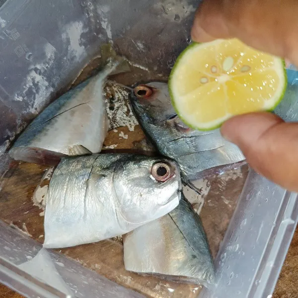 Kucuri ikan dengan jeruk nipis dan diamkan sebentar, lalu cuci bersih.