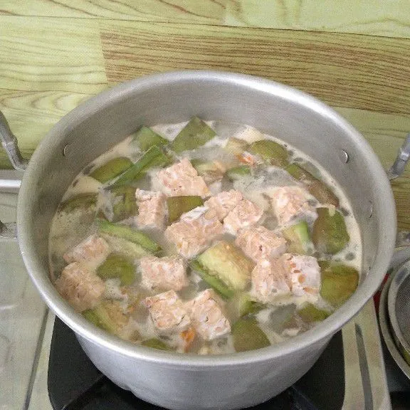 Tambahkan santan, kaldu bubuk, garam, gula pasir dan tempe. Aduk serta koreksi rasa sesuai selera. Diamkan hingga kuah mendidih kembali lalu angkat.